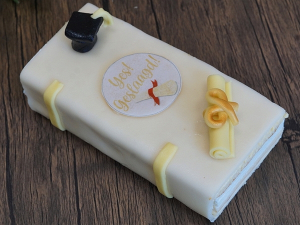 Geslaagd boek schnitte
